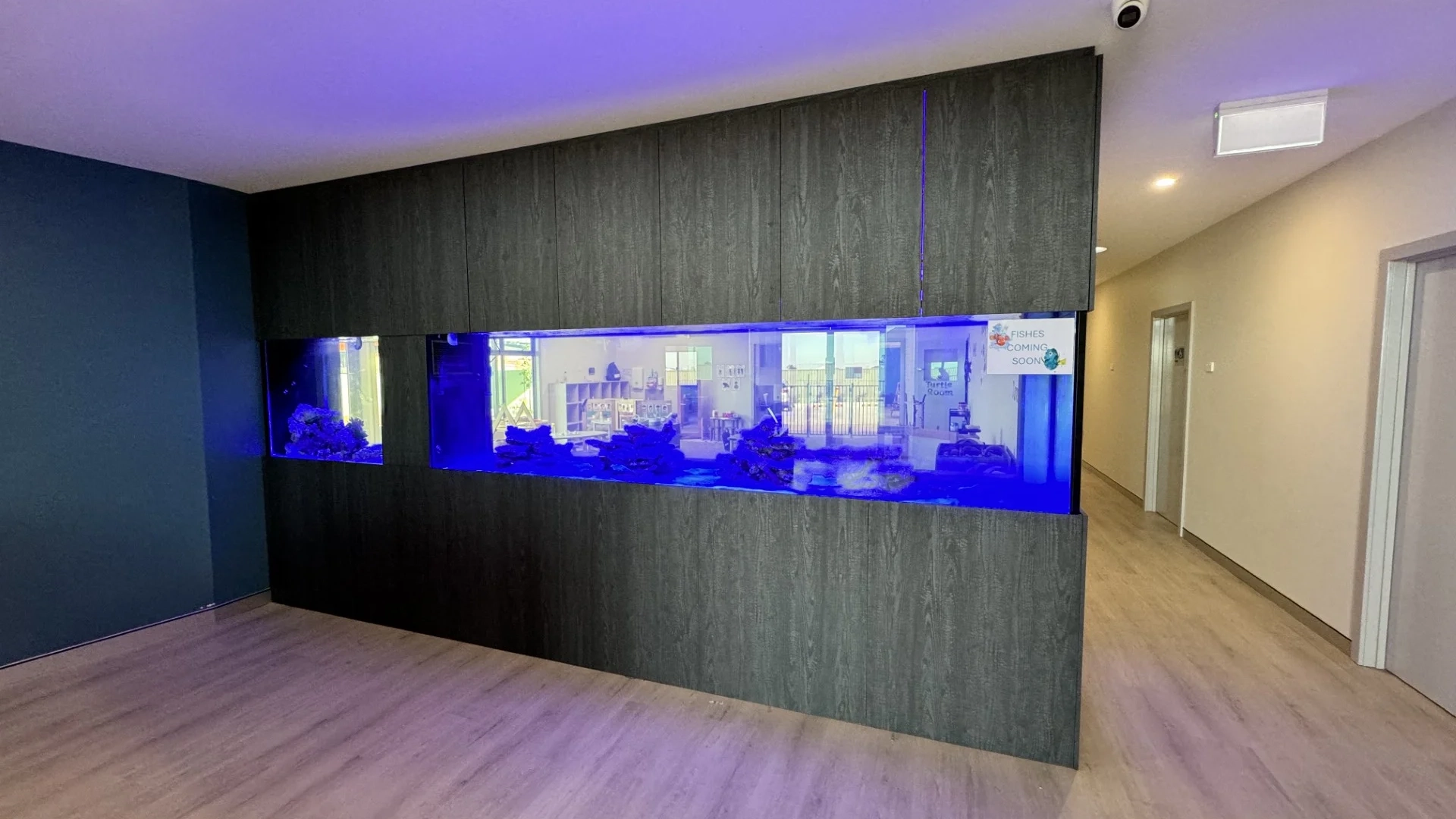 Custom Freshwater and Saltwater Aquariums​