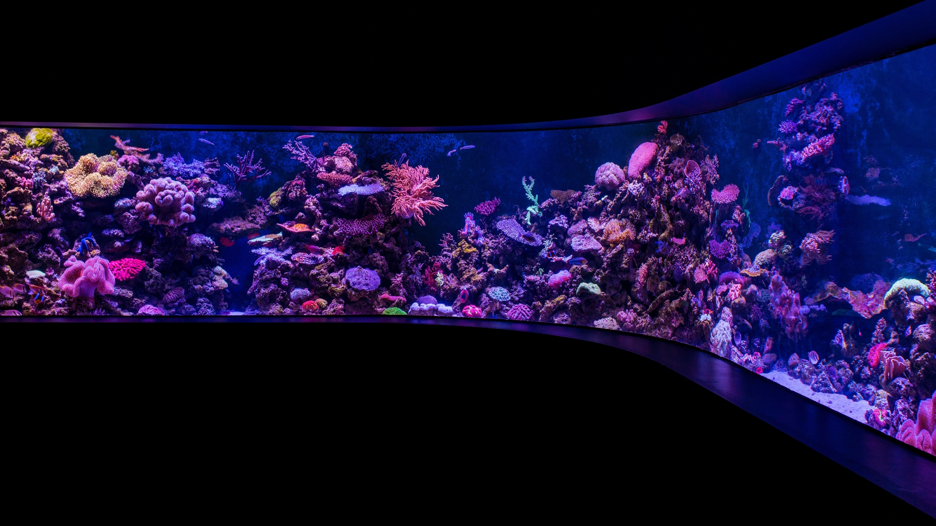 salt water delivery Large aquariums