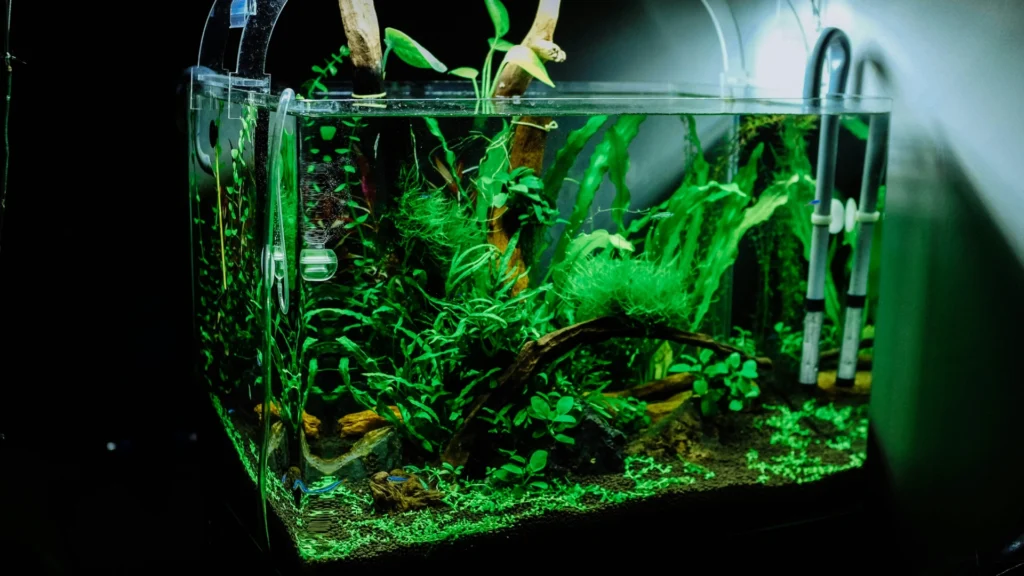home product Fresh water