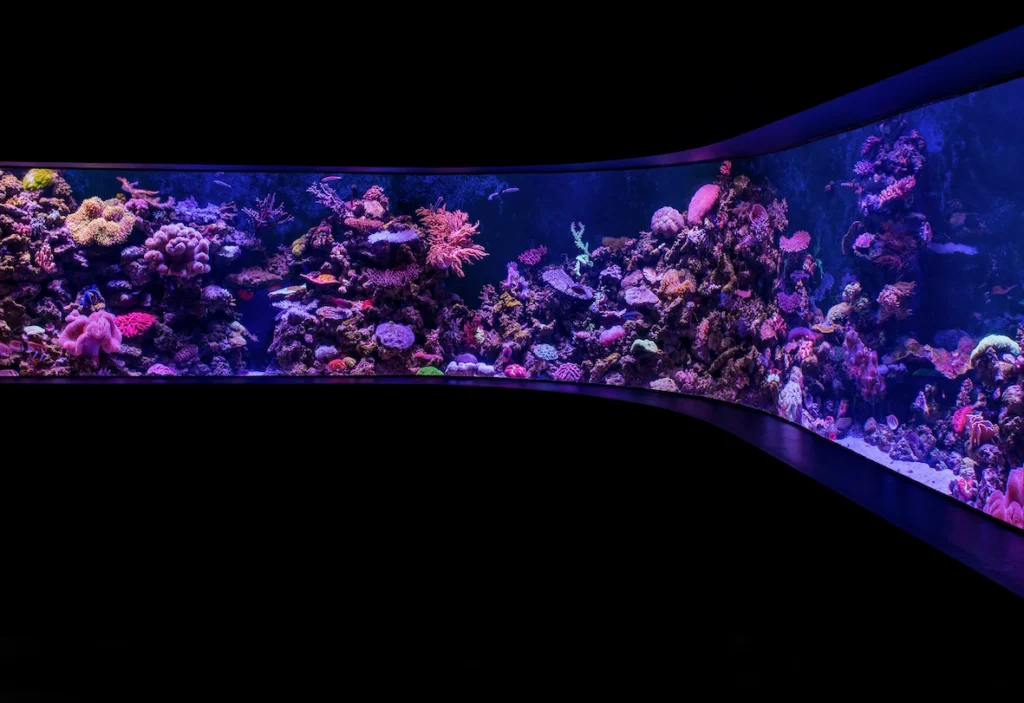 home service Tank Delivery & Aquarium Relocation