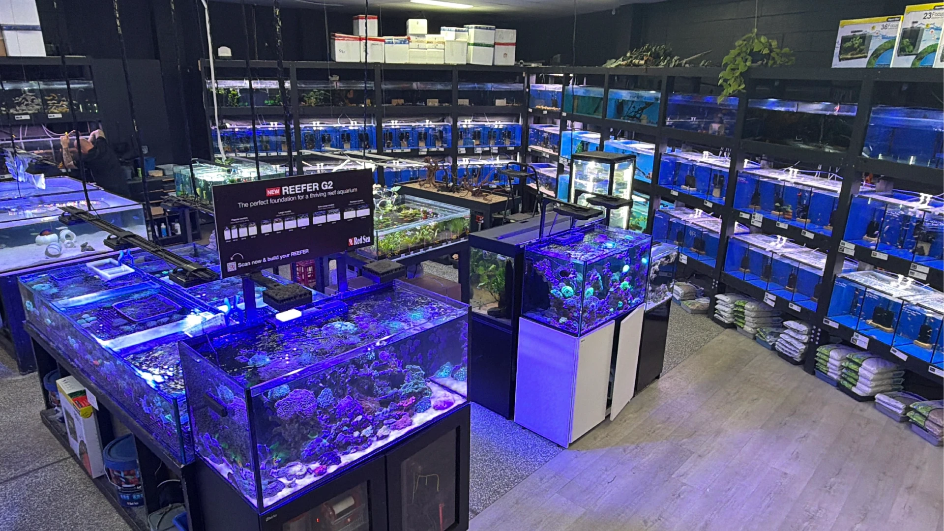 store | fantasea aquarium